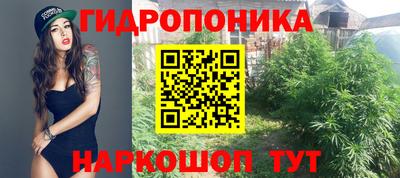 мяу мяу мука Партизанск