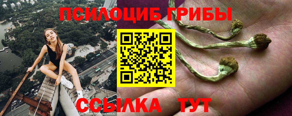 Торжок  Псилоцибиновые грибы ЛСД  Псилоцибиновые грибы прущие грибы  Вход с VPN 